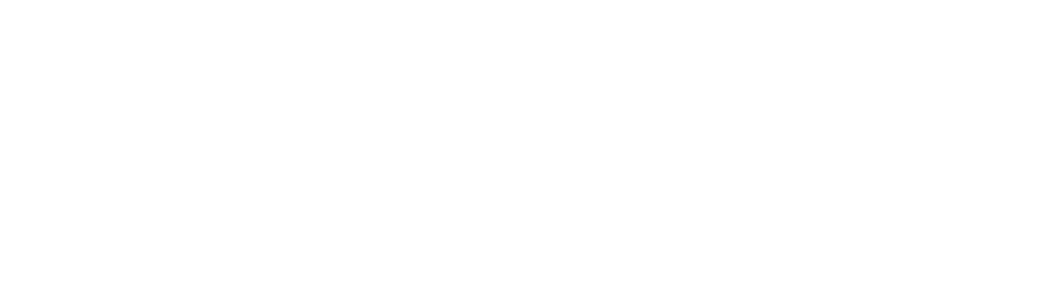 Vellozia Experts Summit